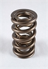 1500 Series Dual Valve Spring Spring OD: 1.464 - image 1