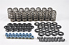 Hot Rod Series Valve Spring Kit LS Engine - image 1