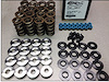 Hot Rod Series Valve Spring Kit LS Engine - image 1