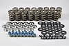 Hot Rod Series Valve Spring Kit LS Engine - image 1