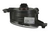 LAMP FOG H11 LH BMW X5 W - image 3