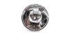 FF 1000 Xenon Driving Lamp Unit Replacement For PN [008273041] - image 2