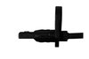 SENSOR, WHEEL SPEED 6PU - image 2