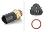 TEMPERATURE SWITCH FOR AU - image 1