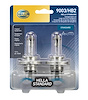 DAYTIME RUNNING BULB