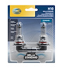 FOG BULB