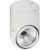 6044 Interior Lamp White Housing w/Switch 12V - image 1