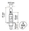 Optilux Extreme White XB Bulbs Bulb Type: H1 - image 3