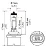Optilux Extreme White XB Bulbs Bulb Type: 880 - image 2