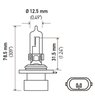 Optilux Extreme White XB Bulbs Bulb Type: 9005XS - image 3