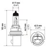 Optilux Extreme White XB Bulbs Bulb Type: HB5/9007 - image 2