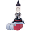 H12 Halogen Bulb 12V 55W - image 1