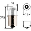 G6 Incandescent Bulb 24V 5W - image 1