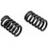 Exhaust SPRING - image 1