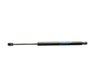 ROD GAS - image 3