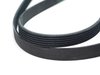 BELT SERPENTINE - image 2