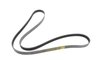 BELT SERPENTINE - image 2
