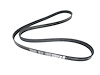BELT SERPENTINE - image 1