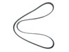 BELT SERPENTINE - image 2
