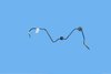 TUBE BRAKE - image 3
