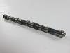 CAMSHAFT EXHAUST - image 1