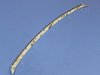 STRIP REAR FASCIA - image 2