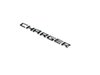 NAMEPLATE DECKLID - image 4
