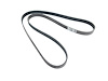 BELT SERPENTINE - image 1