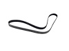 BELT SERPENTINE - image 1