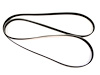 BELT SERPENTINE - image 1