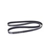BELT SERPENTINE - image 2