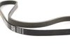 BELT SERPENTINE - image 3