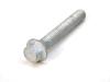 SCREW - image 1