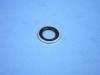 WASHER FUEL LINE BANJO - image 1