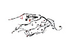 WIRING ENGINE - image 1