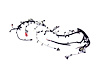 WIRING ENGINE - image 1