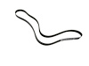 BELT SERPENTINE - image 1