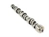 Camshaft 2005-10 6.1L Hemi - image 4