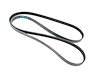 BELT SERPENTINE - image 1