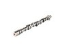 CAMSHAFT ENGINE - image 2