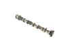 CAMSHAFT EXHAUST - image 1
