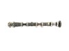 CAMSHAFT EXHAUST - image 3