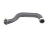 HOSE RADIATOR OUTLET - image 4