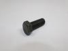 SCREW - image 1