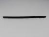 W/STRIP FRONT DOOR BELT - image 1