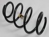 SPRING FRONT COIL - image 3