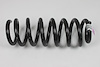 SPRING FRONT COIL - image 1