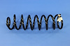 SPRING REAR COIL - image 1