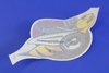 DECAL KIT BODY - image 3