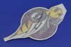 DECAL KIT BODY - image 3